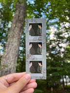 Twilight-inspired bookmark with an illustrated polaroid design.